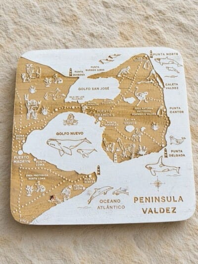 Peninsula Valdés - Extra small